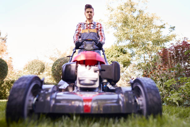 istock Serious gardener mowing the yard 922359348