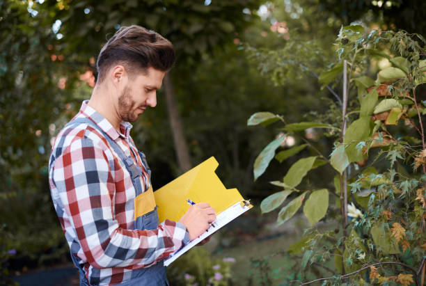 istock Man examining the quality of vegetable 922359860