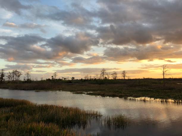 istock Sunset in Grassy Waters Nature Preserve 922362570