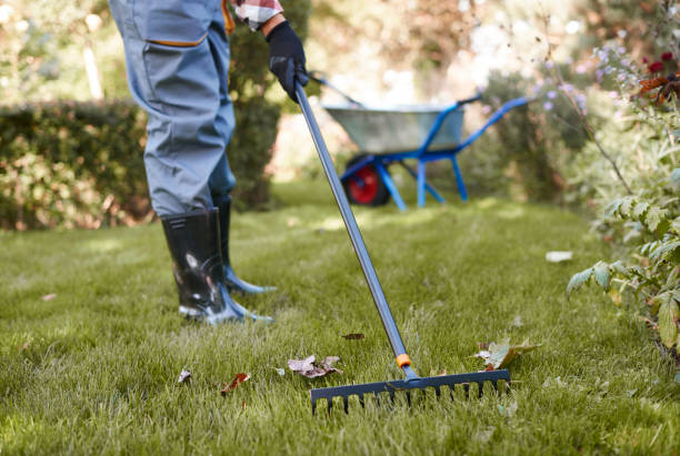 istock Unrecognizable man raking leaves in the garden 922362802