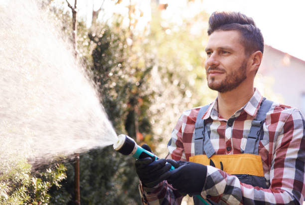 istock Botanist with garden hose watering flower 922362926