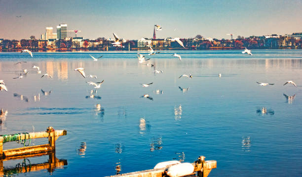 Alster lake Hamburg