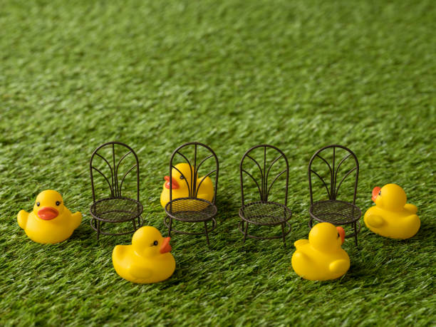 Five yellow rubber ducks move around four empty chairs as if playing the party game 'musical chairs', on artificial grass.