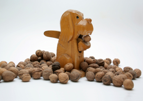 nutcracker dog with walnuts