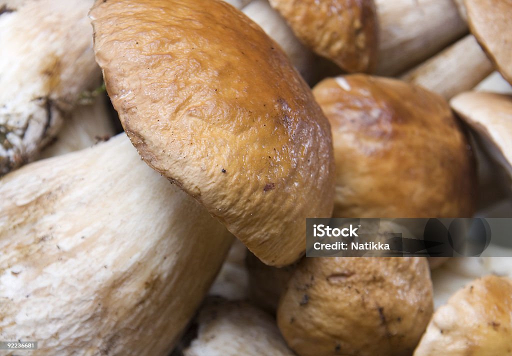 Grupo de boletus edulis - Royalty-free Amarelo Foto de stock