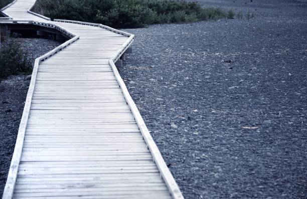 istock The path along the sandy beach 922369386