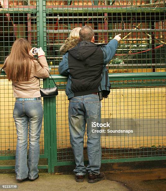 Familia En El Zoológico Foto de stock y más banco de imágenes de Educación - Educación, Guardia de seguridad, Actividades recreativas