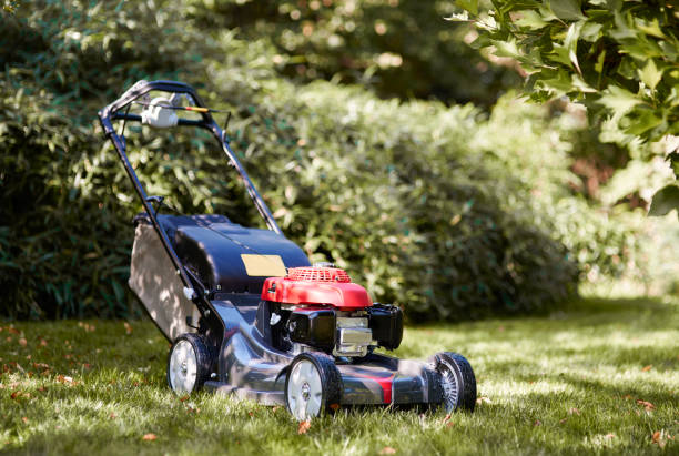 istock Shot of mower at garden 922372430