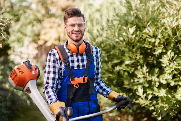 istock Portrait of man working with weedwacker 922372748