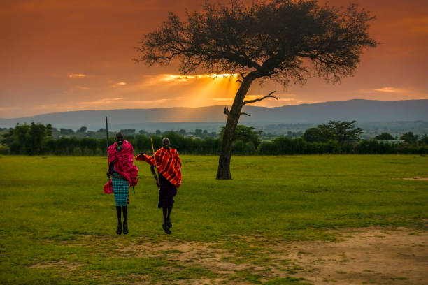 африканские воины масаи на восходе солнца - национальный заповедник масаи стоковые фото и изображения