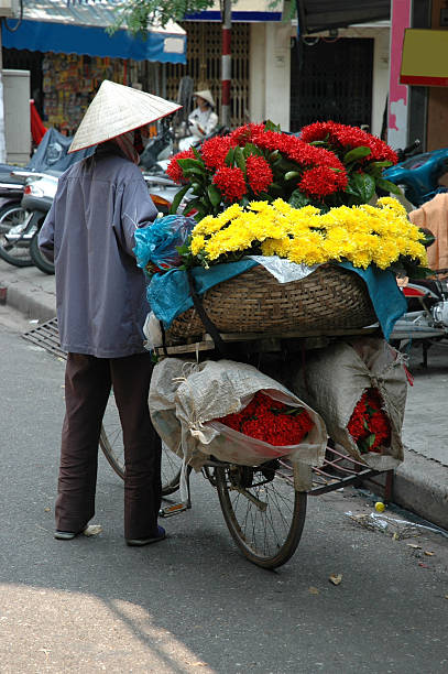 istock Flowers in Vietnam 92238343