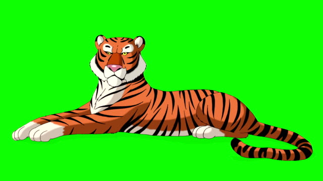Tiger Walks. Animated Motion Graphic Isolated on Green Screen Free Stock Video  Footage Download Clips tiger