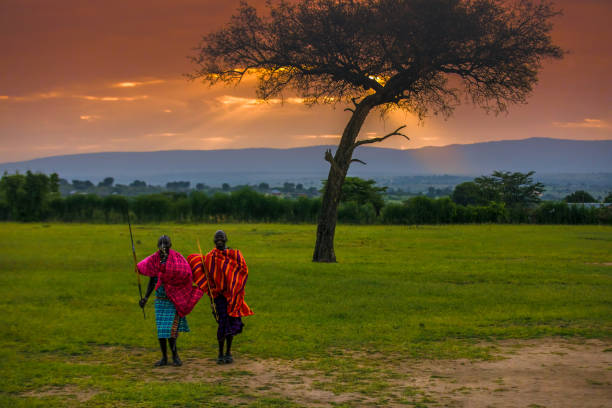 afrikanischen masai krieger bei sonnenaufgang - masai africa dancing african culture stock-fotos und bilder