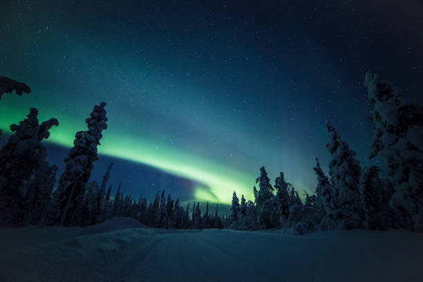 istock Northern lights with heavy snow 922391168