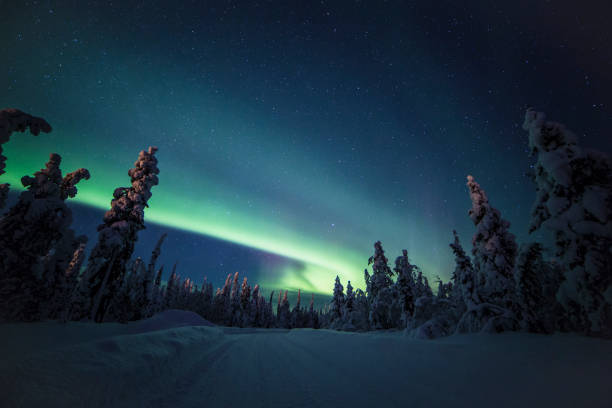 istock Northern lights with heavy snow 922391174