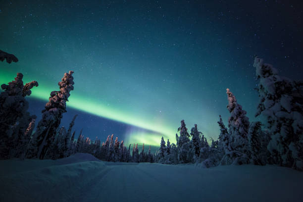 istock Northern lights with heavy snow 922391246