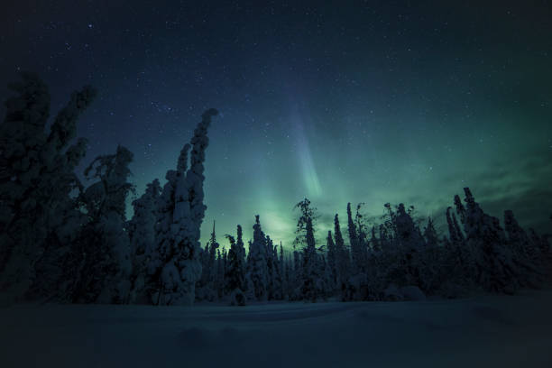 istock Northern lights with heavy snow 922391630