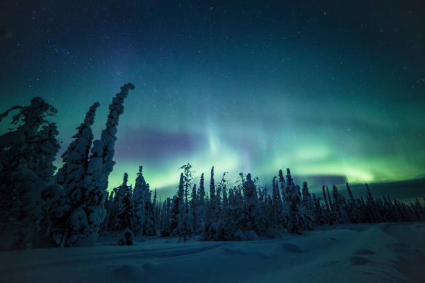 istock Northern lights with heavy snow 922391660
