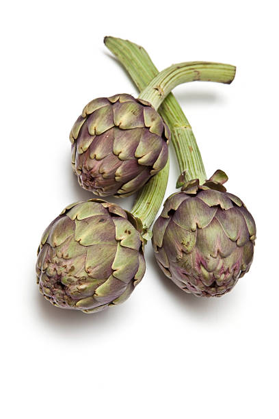 istock Globe artichokes isolated on a white background 92239312
