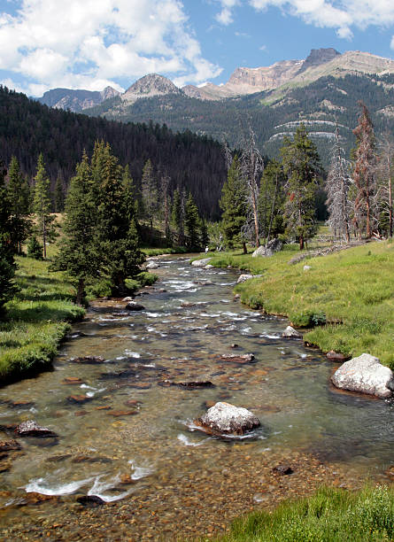 istock Clean water stream in the mountains 92239381