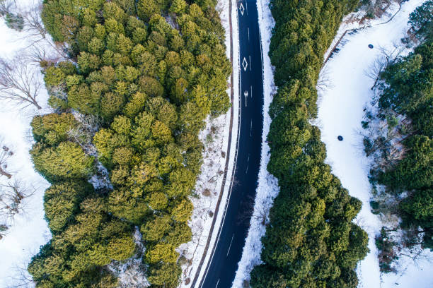 A view from the sky. A bird's eye view. Drone. The view is nice. A road like art.