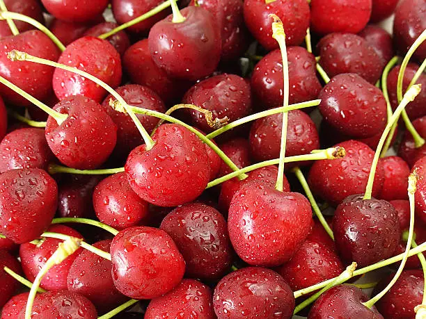 Photo of Bing Cherry