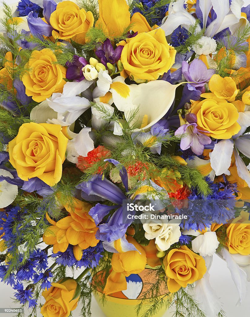 Arrangement with Yellow Spring Flowers  Aquatic Organism Stock Photo