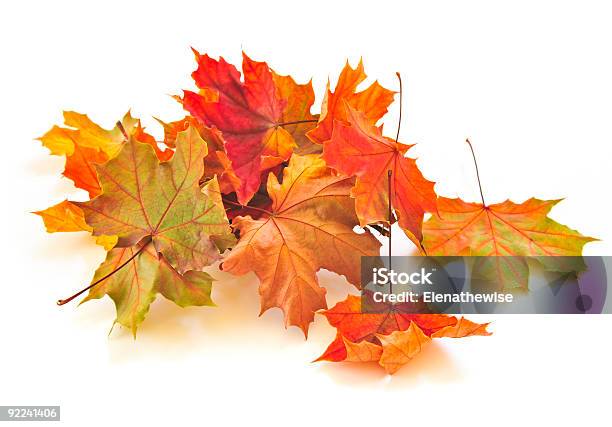 Small Pile Of Autumn Leaves Isolated On White Stock Photo - Download Image Now - Autumn, Close-up, Color Image