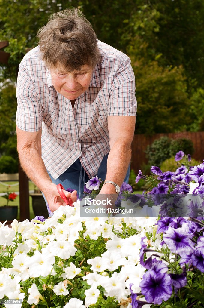 Vecchia donna giardinaggio - Foto stock royalty-free di 70-79 anni