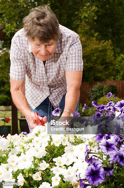 Old Lady Jardinagem - Fotografias de stock e mais imagens de 70 anos - 70 anos, Adulto, Adulto maduro