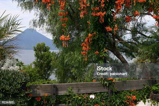 Volcano Framed By Flowers Stock Photo - Download Image Now - Beautiful People, Beauty In Nature, Branch - Plant Part