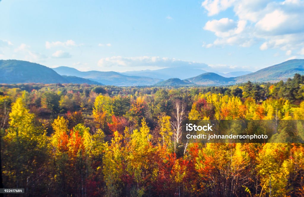 Autumn in the forest Autumn in the forest, Northeast United States New England - USA Stock Photo