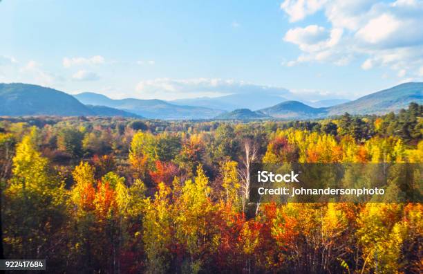 Autumn In The Forest Stock Photo - Download Image Now - New England - USA, Autumn Leaf Color, Autumn