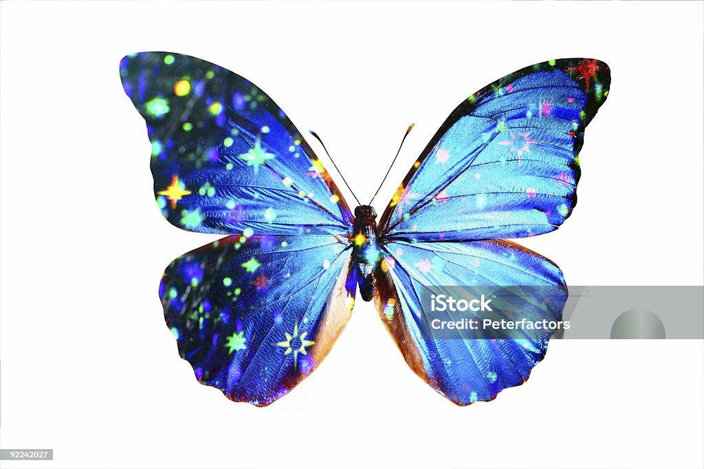 Blaue Morpho 3 - Lizenzfrei Schmetterling Stock-Foto