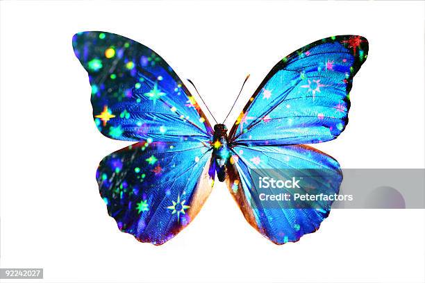 Blaue Morpho 3 Stockfoto und mehr Bilder von Schmetterling - Schmetterling, Ganz oben, Amazonien