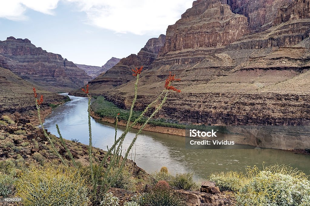 Fiume Colorado in Grand Canyon - Foto stock royalty-free di Ambientazione esterna