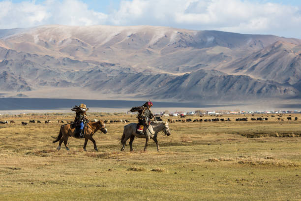 eagle hunter while hunting with a golden eagle. - independent mongolia fotos imagens e fotografias de stock