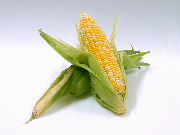 Sweet Corns stock photo