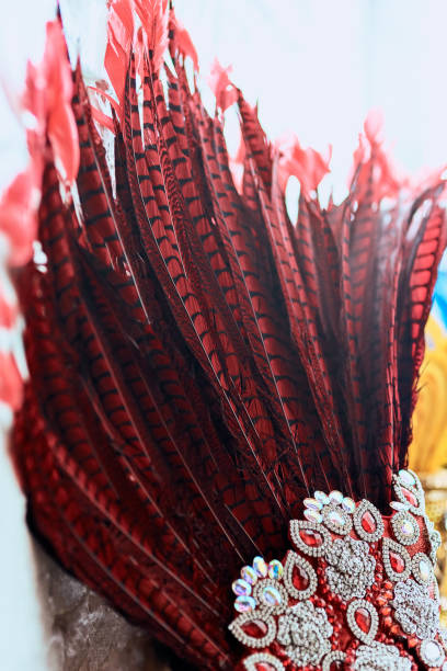 istock The longer the feather the closer to heaven 922428428