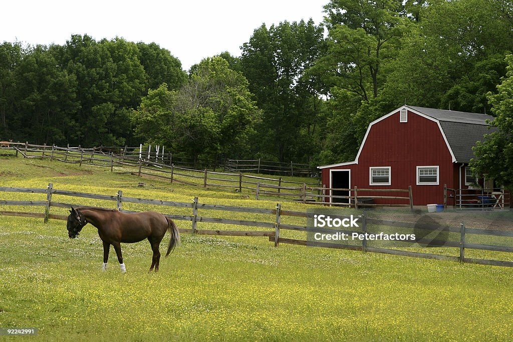 Stable  Agricultural Field Stock Photo