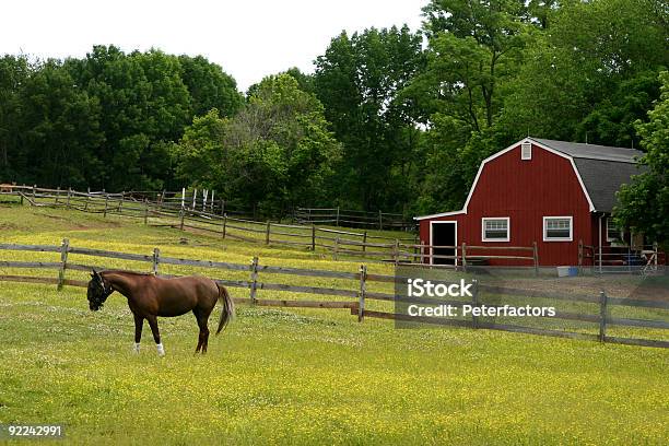 Stable Stock Photo - Download Image Now - Agricultural Field, Animal Hair, Barn