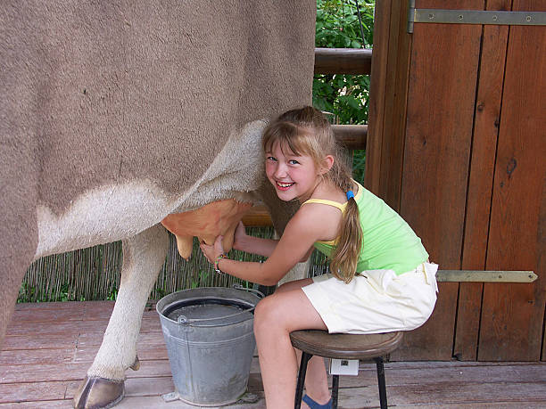 Cow and girl 01  milking unit stock pictures, royalty-free photos & images