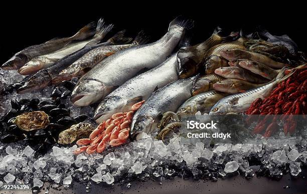 Fish Stillleben Stockfoto und mehr Bilder von Fisch - Fisch, Eis, Fischmarkt