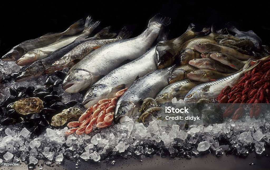 Рыба Натюрморт - Стоковые фото Рыба роялти-фри