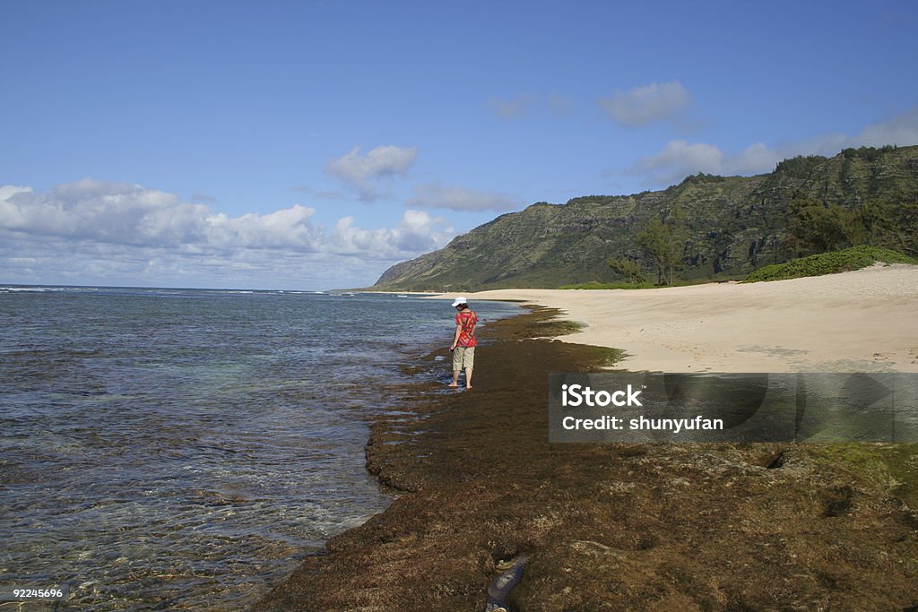 Havaí: Oahu - Foto de stock de Areia royalty-free