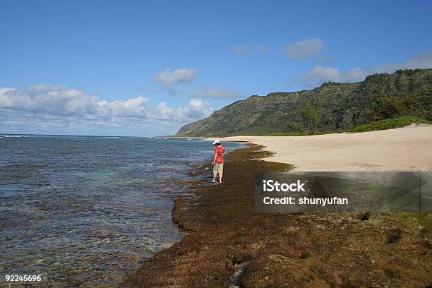 Foto de Havaí Oahu e mais fotos de stock de Areia - Areia, Costa norte - Oahu, Céu - Fenômeno natural