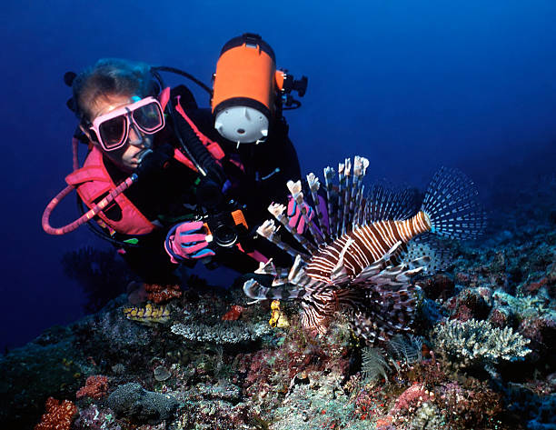 istock Woman diver and lion fish 92246517