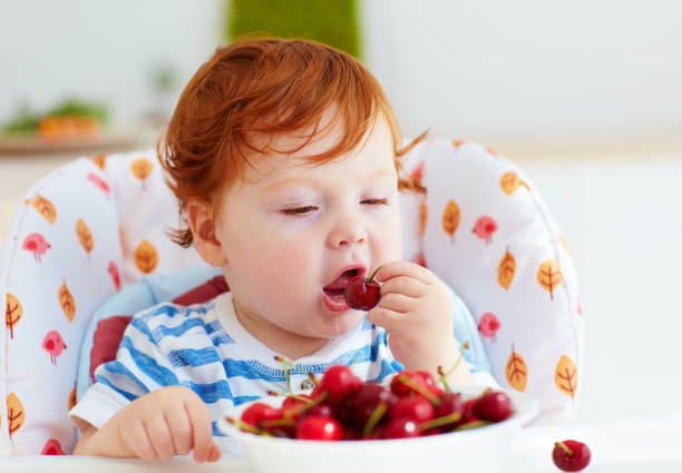 cute redhead infant baby tasting sweet cherries while sitting in highchair on the kitchen cute redhead infant baby tasting sweet cherries while sitting in highchair on the kitchen tasting cherry eating human face stock pictures, royalty-free photos & images