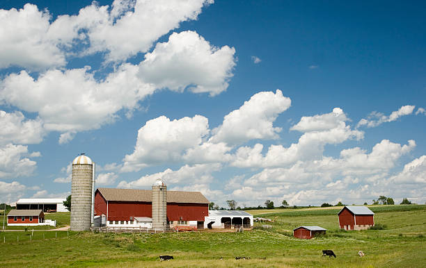 istock dairy farm with grazing cows in the midwest USA 92247055