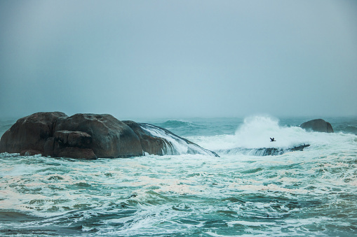 A brief patch of sunlight bathes the Nova Scotia coastline at Chebucto Head Lighthouse.